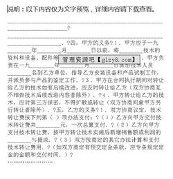 技术转让合同（示例文本）