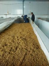 酱油酿造技术转让 传统工艺与现代商业的融合之道